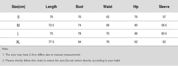 Chic Puff Sleeve Dress