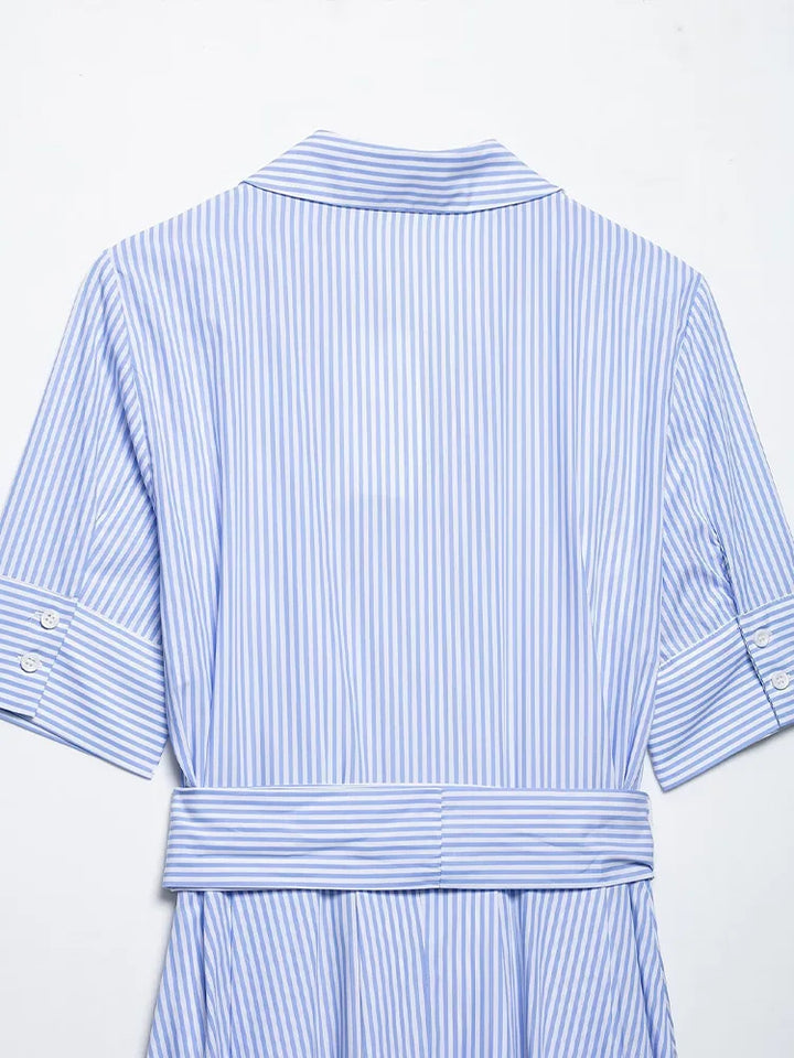 Blue Stripe Midi Dress