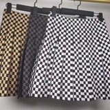 Plaid Pleated A-Line Skirt